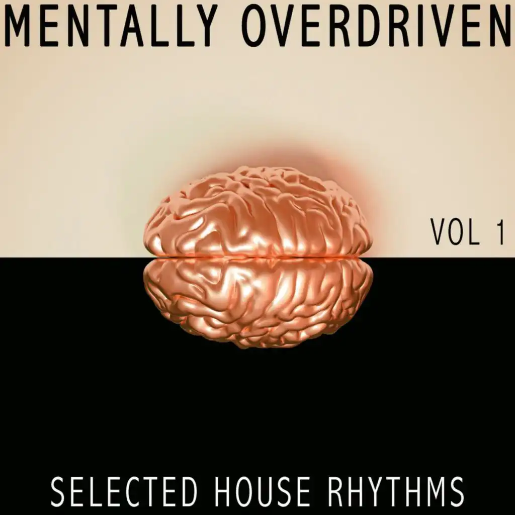 Mentally Overdriven, 1 - Selected House Rhythms