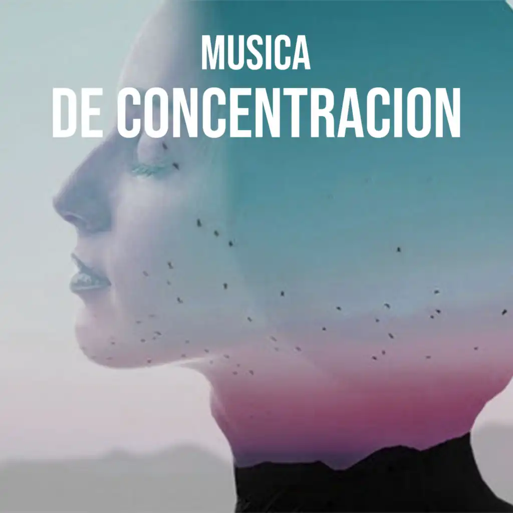 Musica De Concentracion