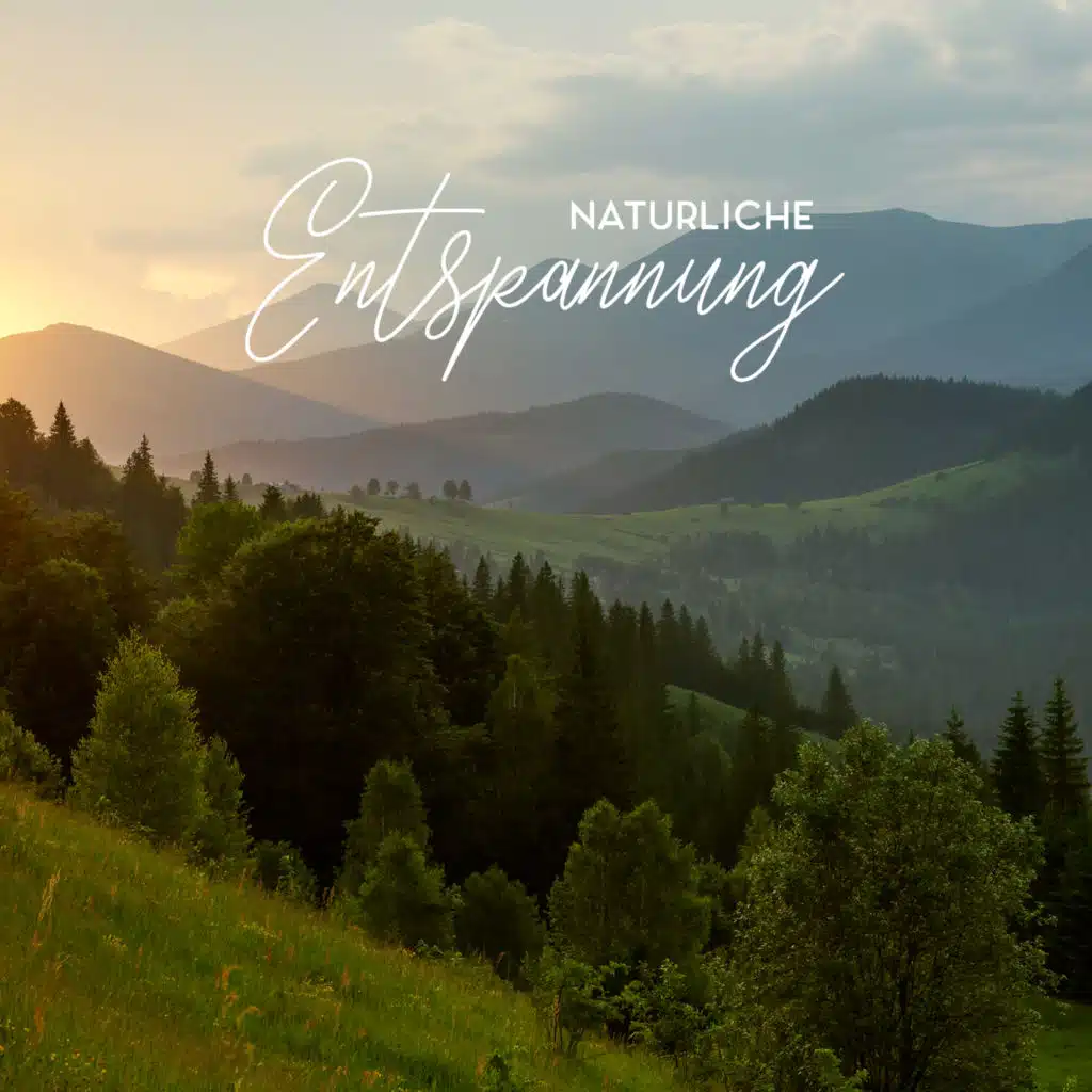 Buddhistische Meditation