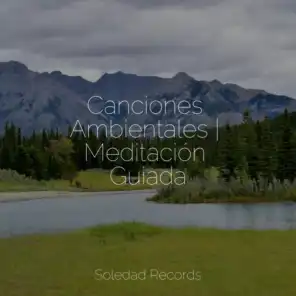 Naturaleza Sonidos, Academia de Música para Massagem e Relaxamento & Sons da natureza HD