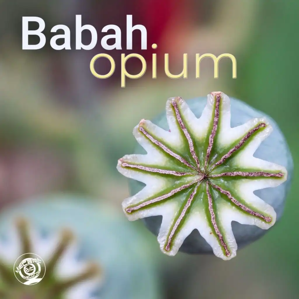 Opium (Radio Edit)