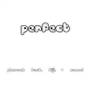Perfect (feat. Nomad & Fiji)