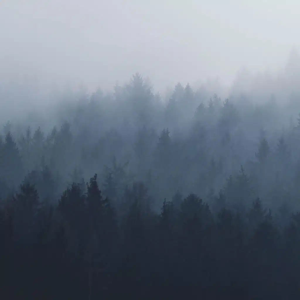 أتركيني أنتحب وأبكي دهر