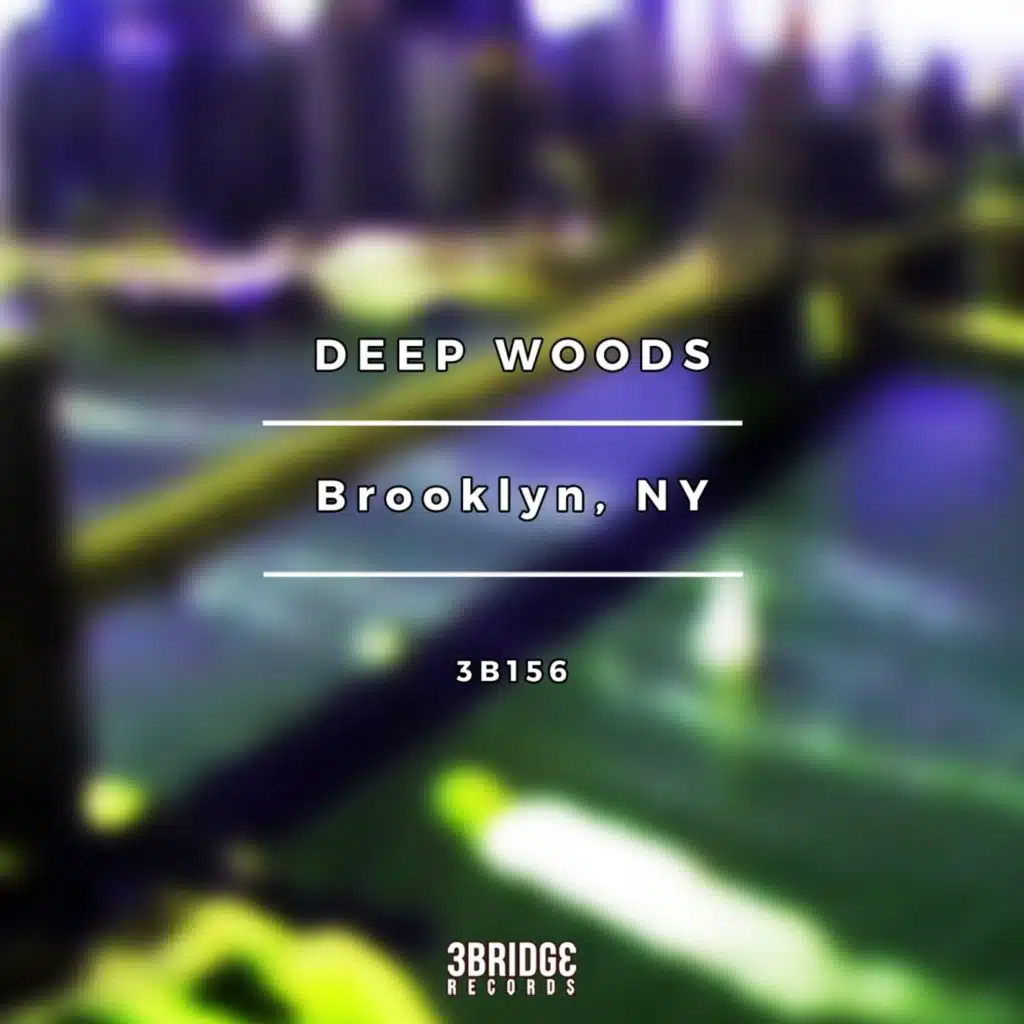 Brooklyn, NY (Sleepy & Boo Remix)