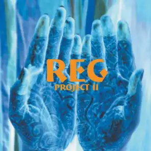 The Reg Project 2