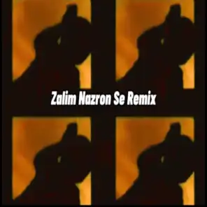 Zalim Nazron Se (Remix)