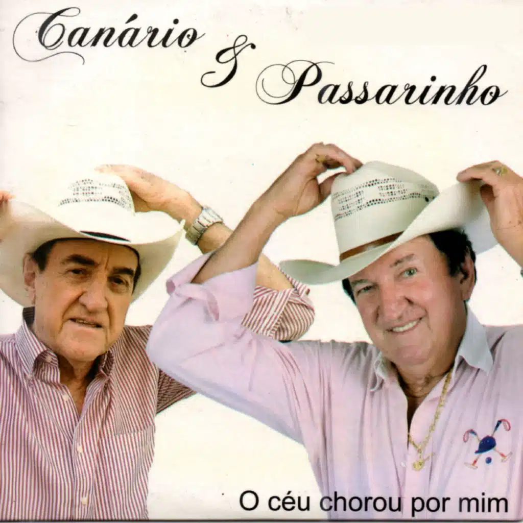 Canário & Passarinho