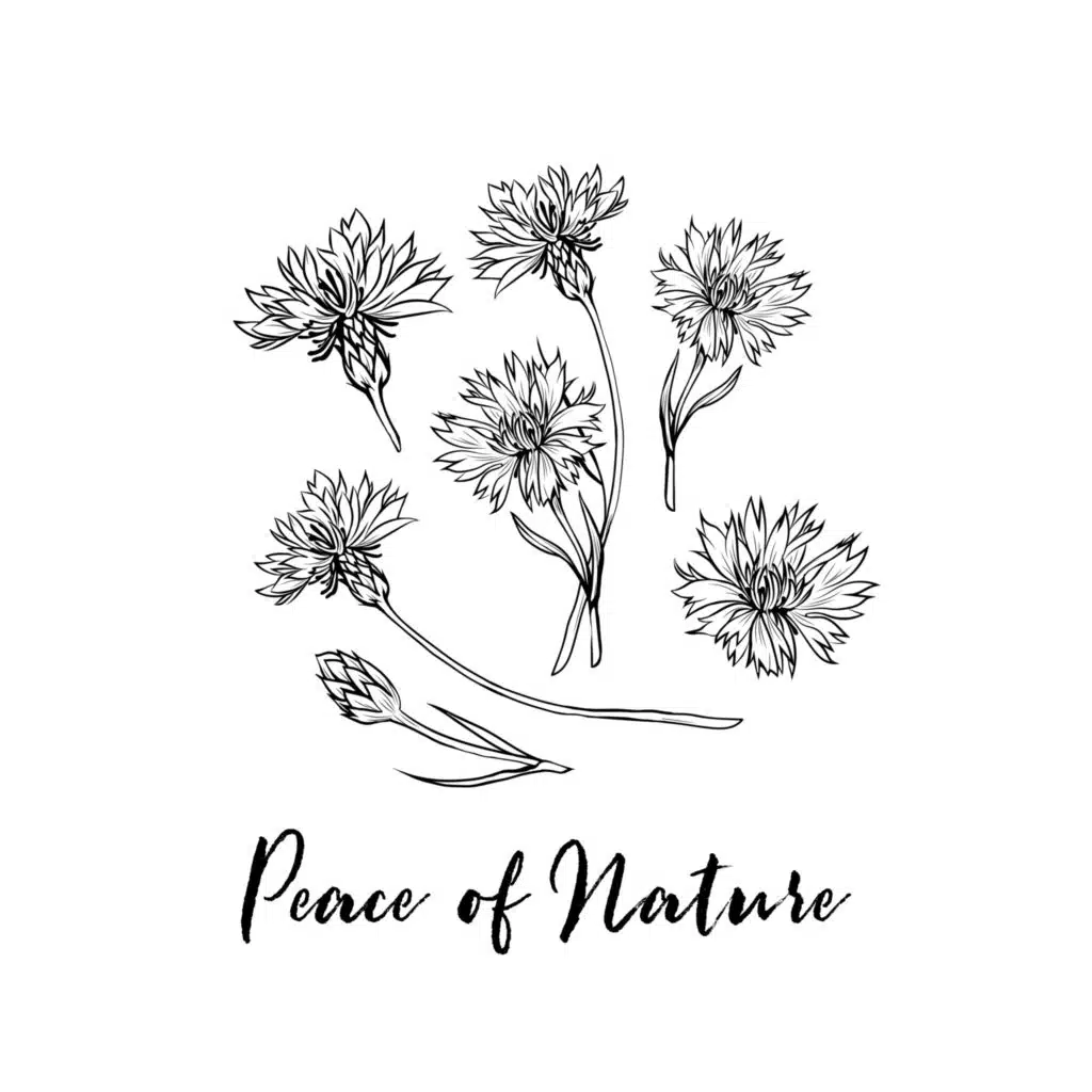 Extreme Harmony & Peace