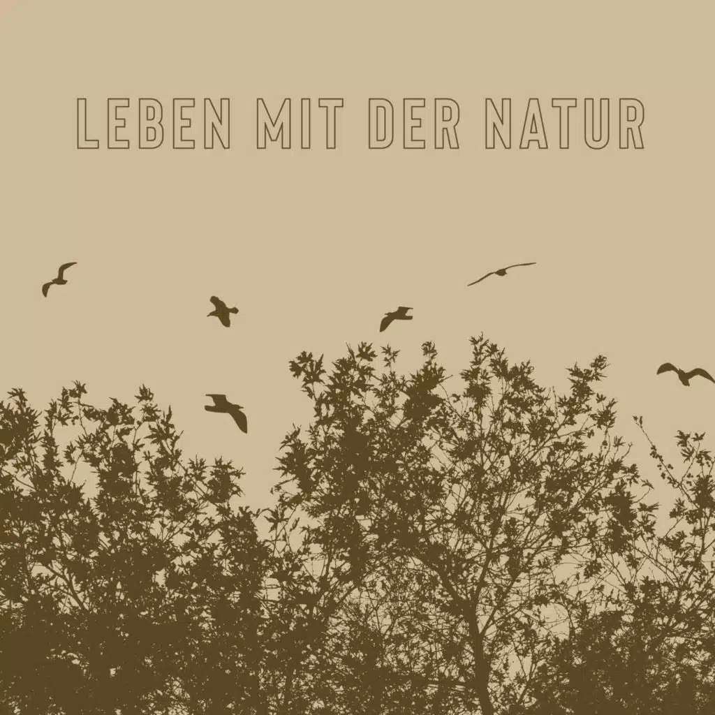 Leben mit der Natur - Entspannende Geräusche der Natur für eine Glückselige Erholung