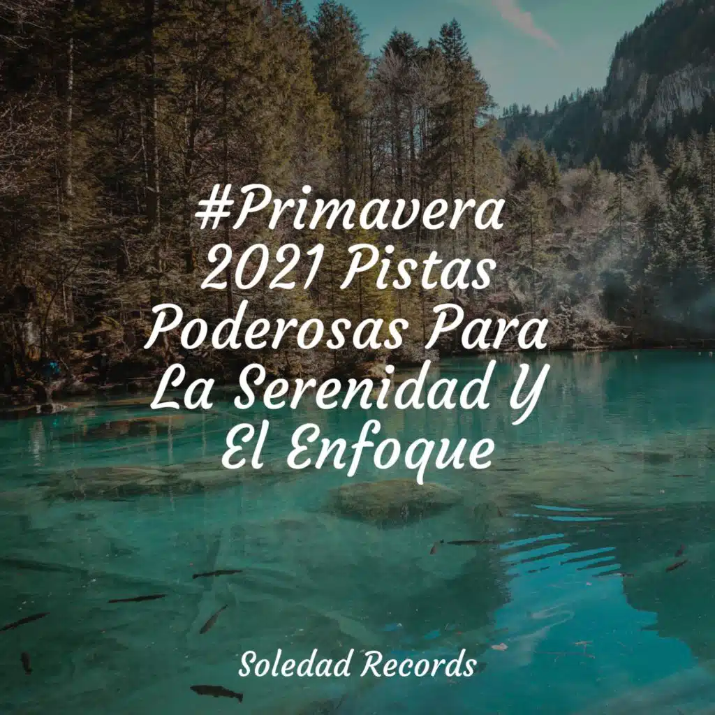 #Primavera 2021 Pistas Poderosas Para La Serenidad Y El Enfoque