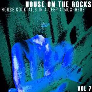 House on the Rocks, Vol. 7