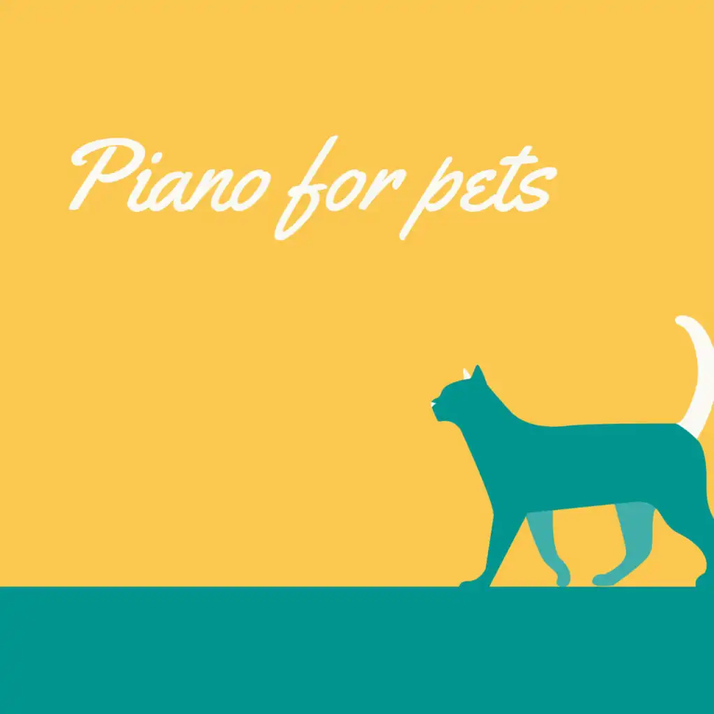 Piano for Pets