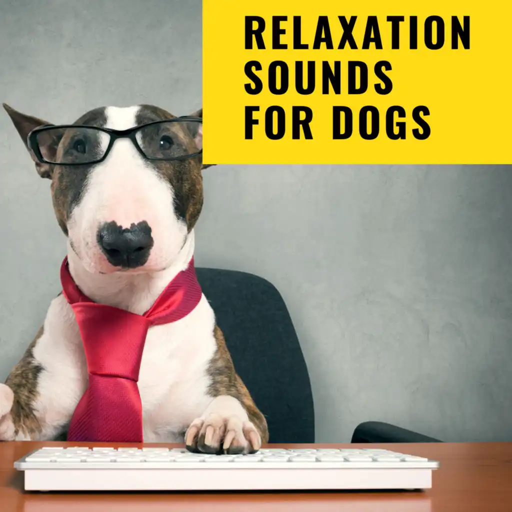 Relaxation Sounds For Dogs