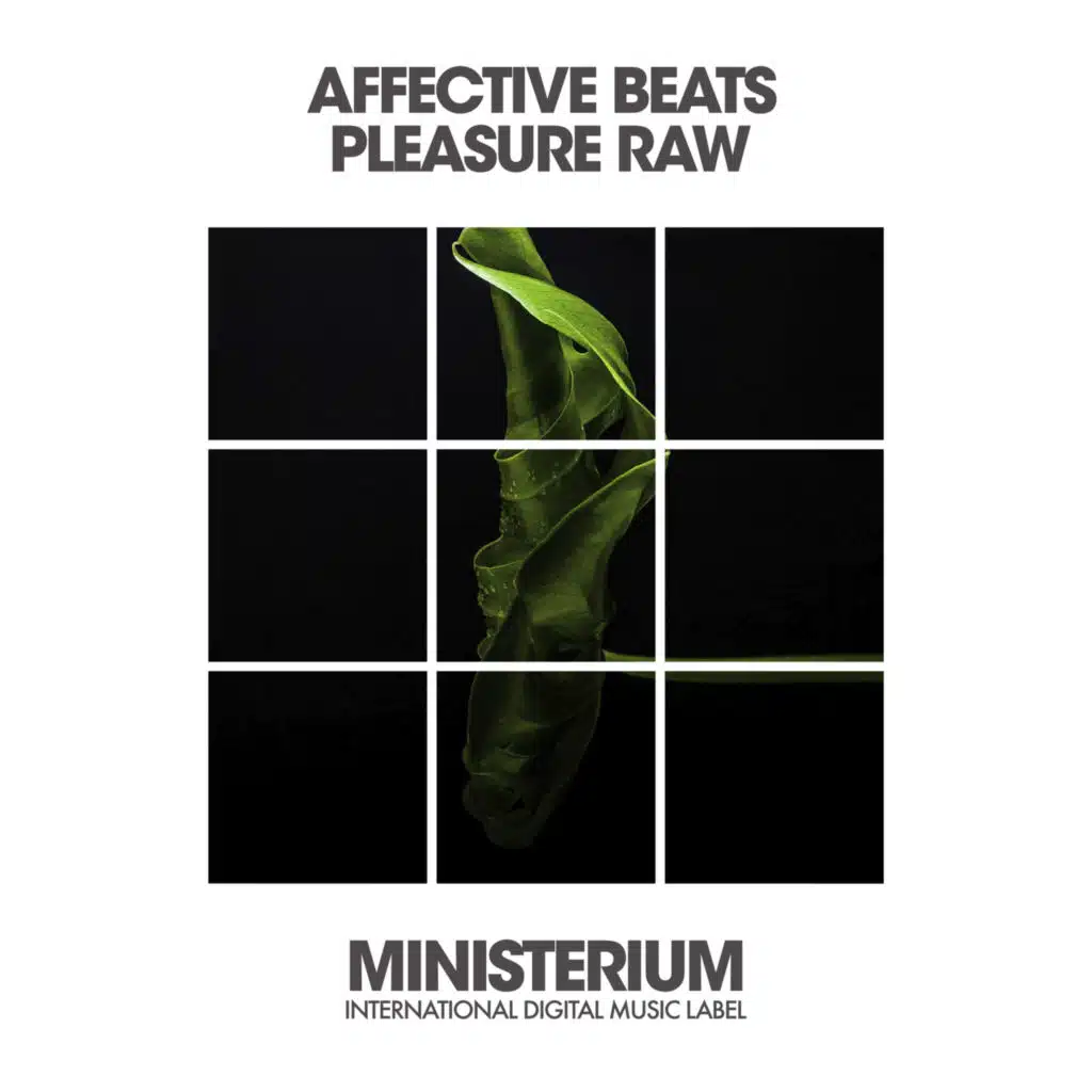 Affective Beats