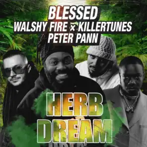 Herb Dream (Remix) [feat. Killertunes]