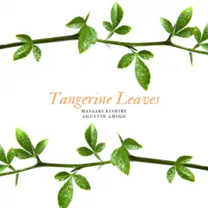 Tangerine Leaves