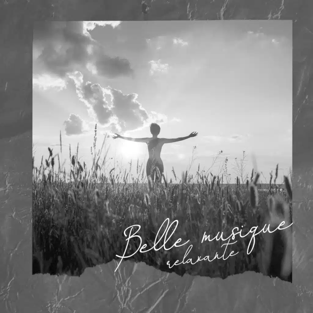 Musique de méditation (feat. Zen Méditation Ambiance)