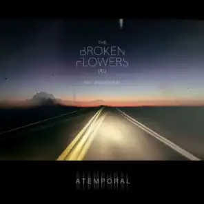 The Broken Flowers Project