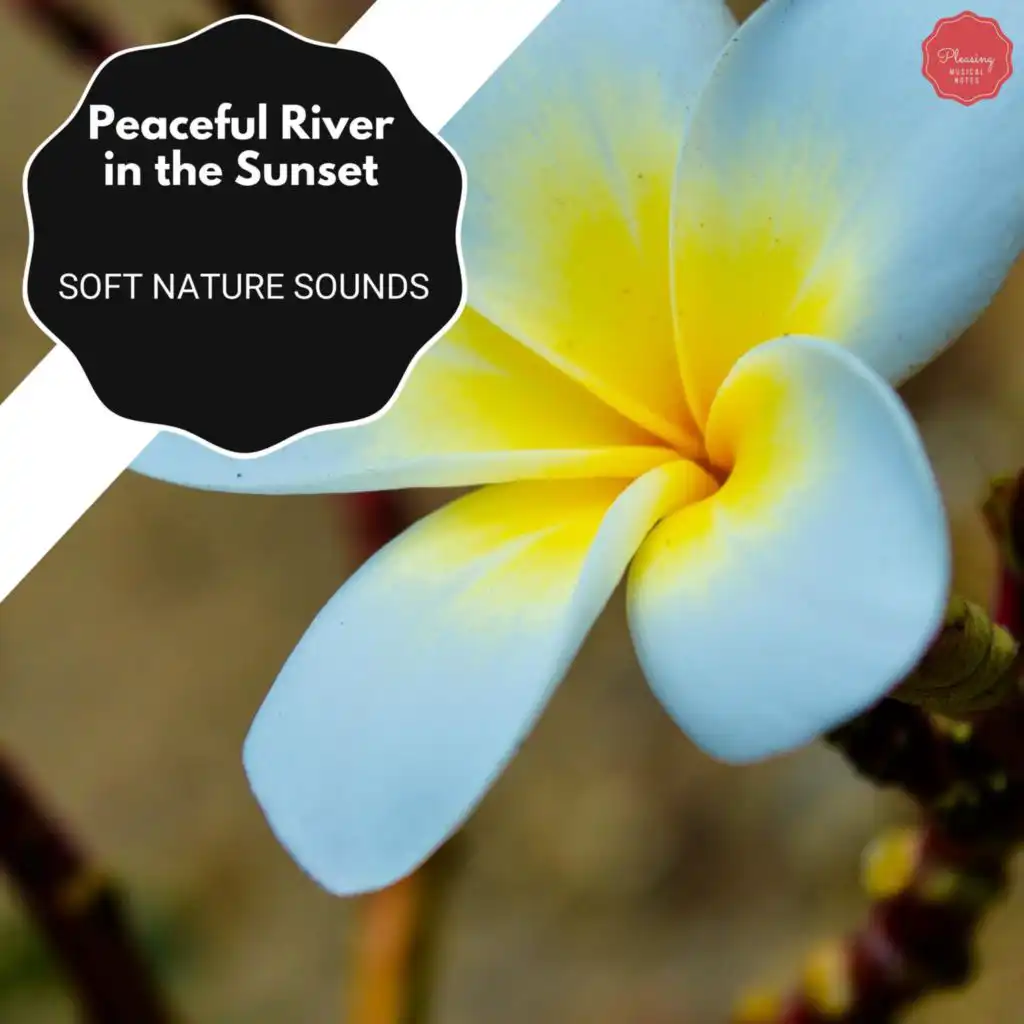 Peaceful River In The Sunset - Soft Nature Sounds