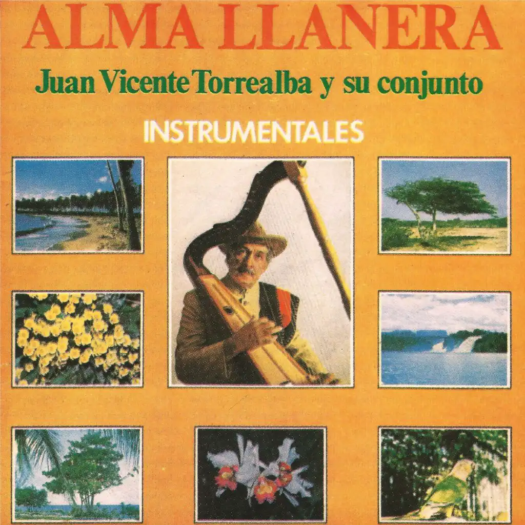 Alma Llanera