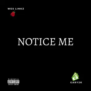 Notice Me (feat. Gary2K)