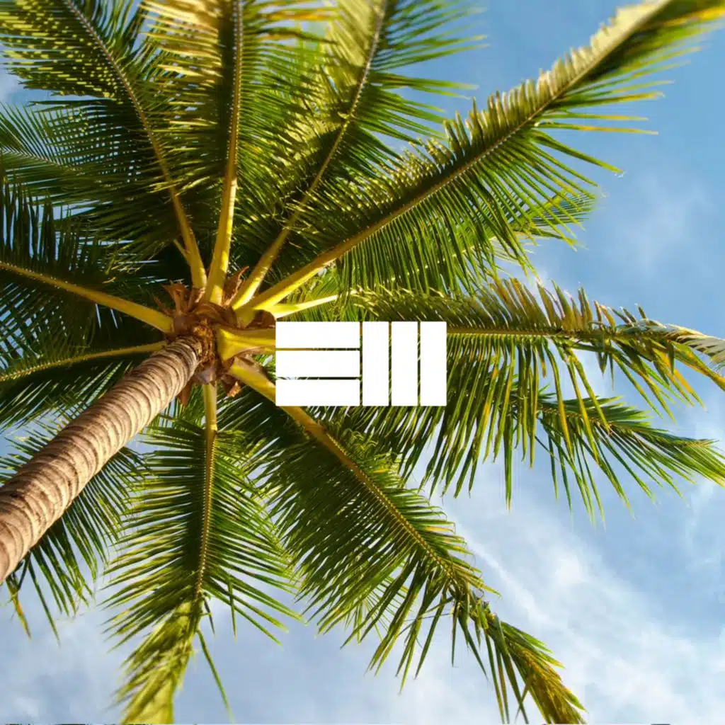 Never In Town (feat. Russ)