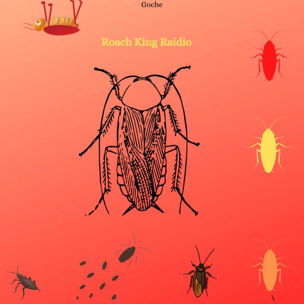 Roach King Radio