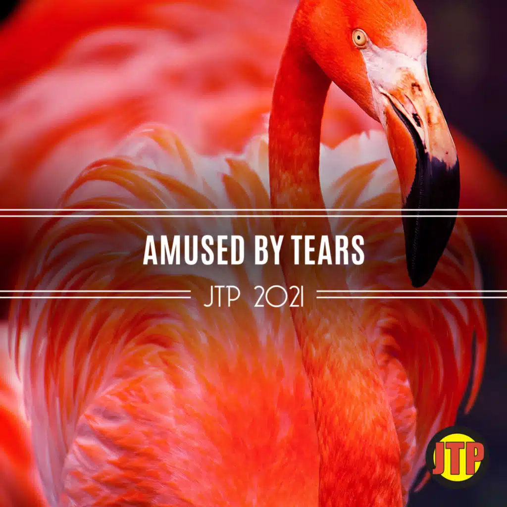 Amused By Tears Jtp 2021