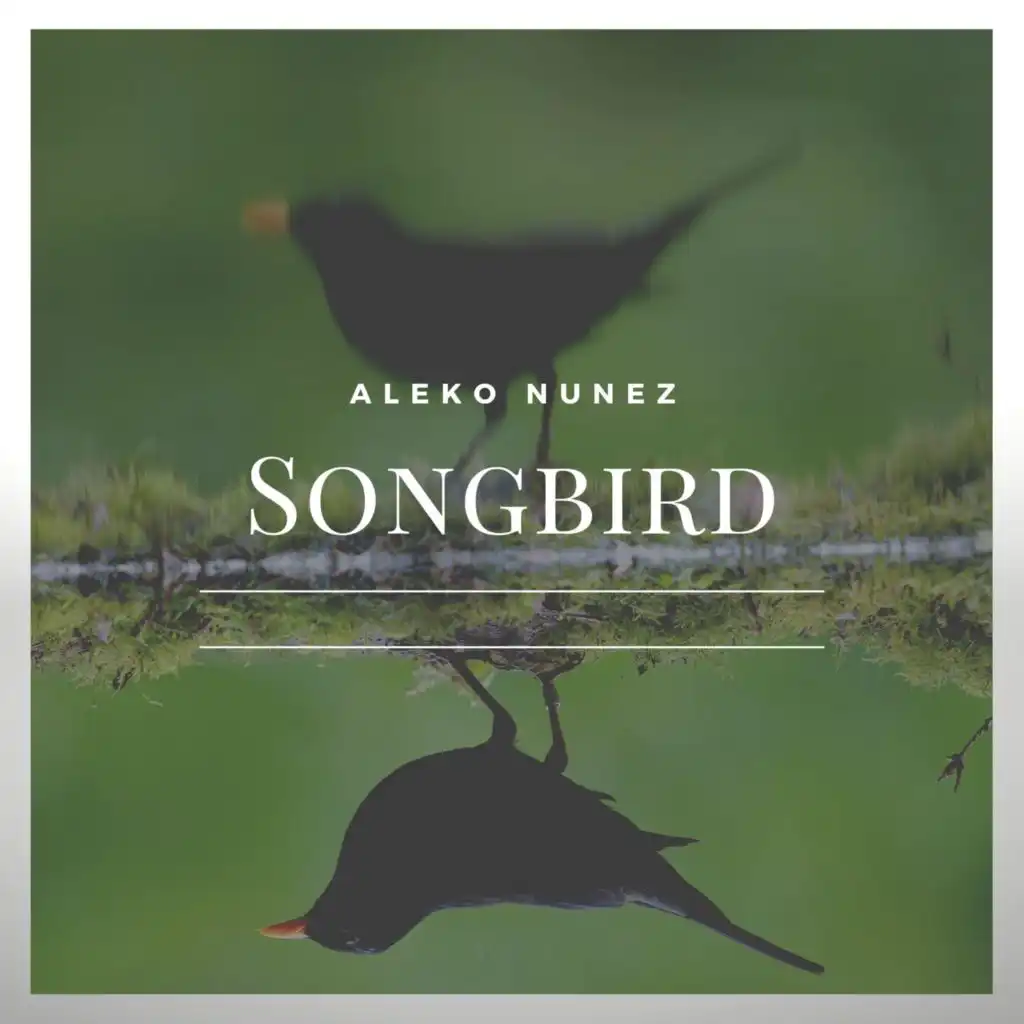 Songbird (Arr. for Guitar)
