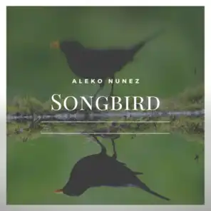 Songbird (Arr. for Guitar)