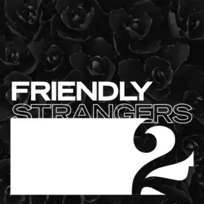 Friendly Strangers 2