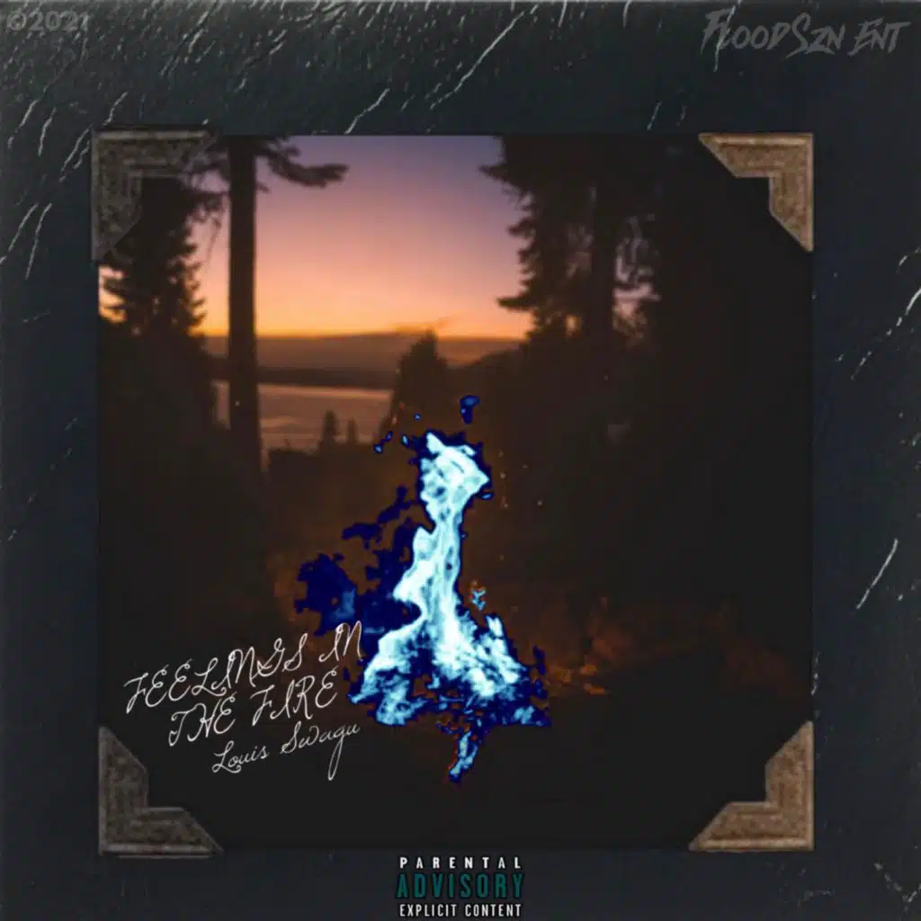 FEELINGS IN THE FIRE (Deluxe)