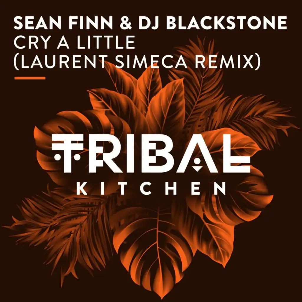 Sean Finn & DJ Blackstone