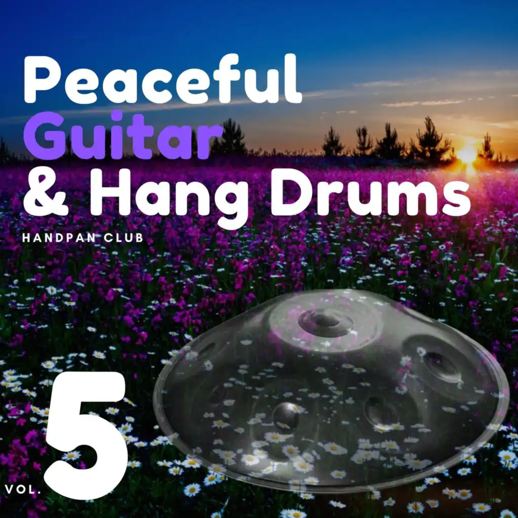 Peaceful Guitar & Hang Drums Vol. 5