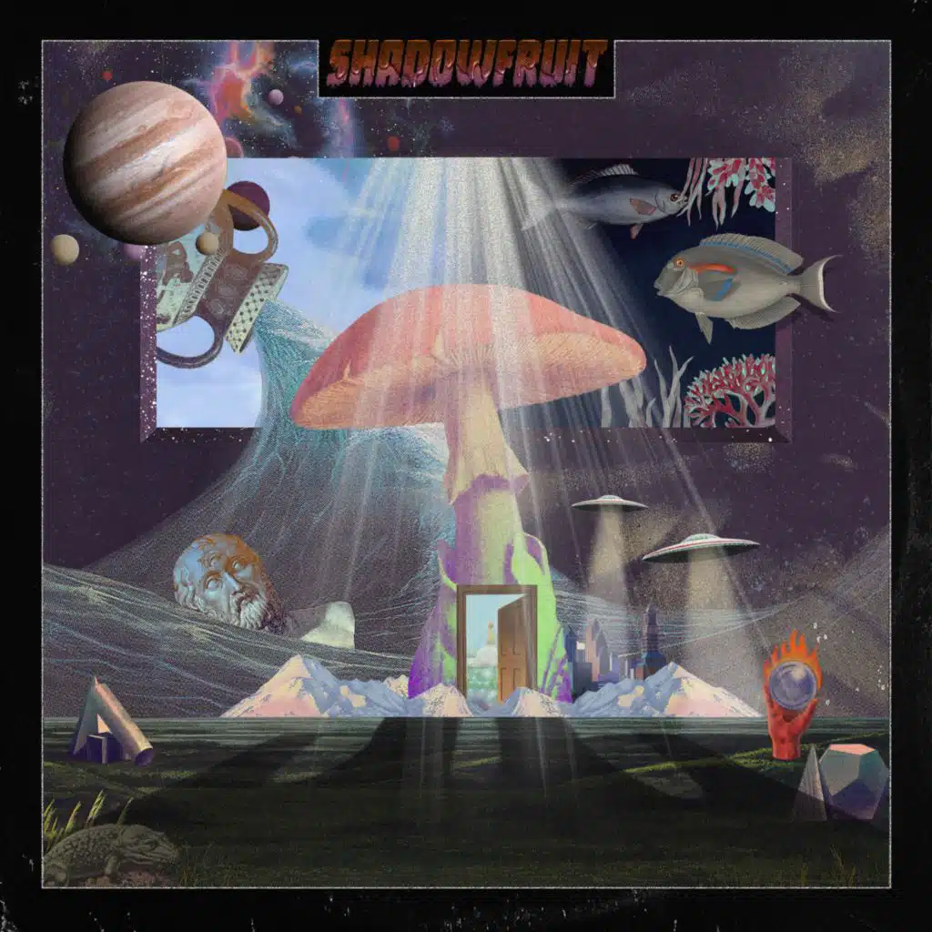 Shadowfruit
