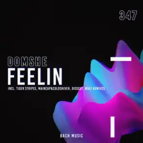 Feelin (Walt Remix)