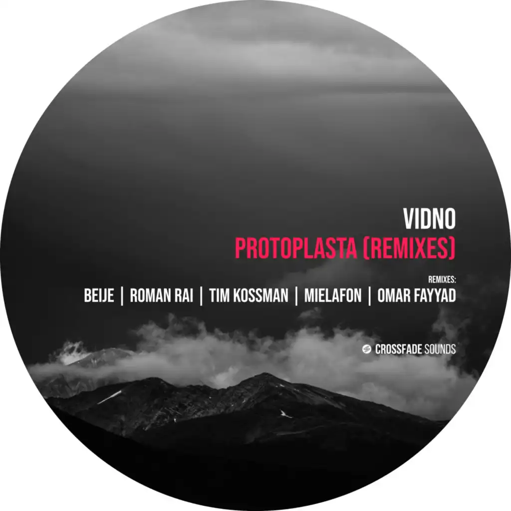 Protoplasta (Remixes) [feat. Roman Rai & Beije]