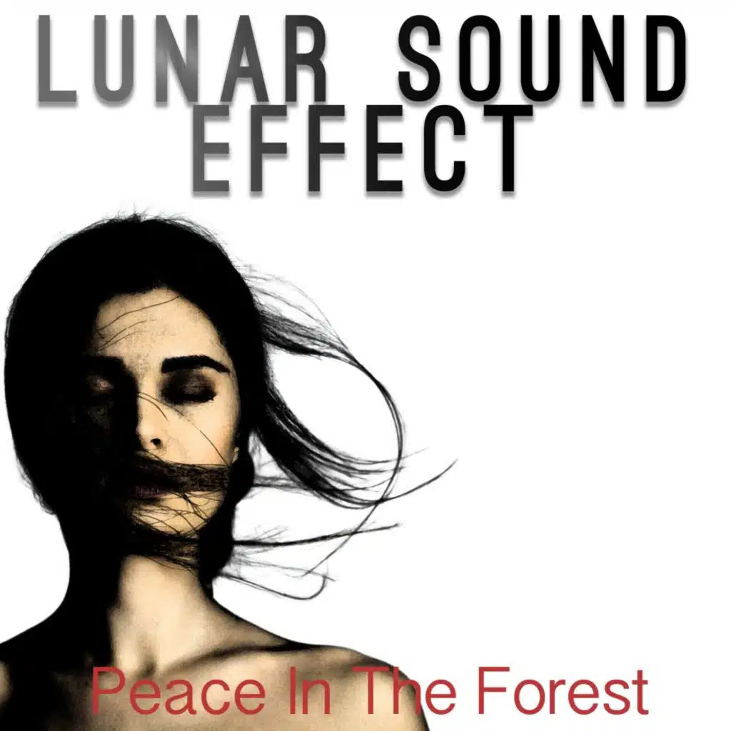 Peace in the Forest