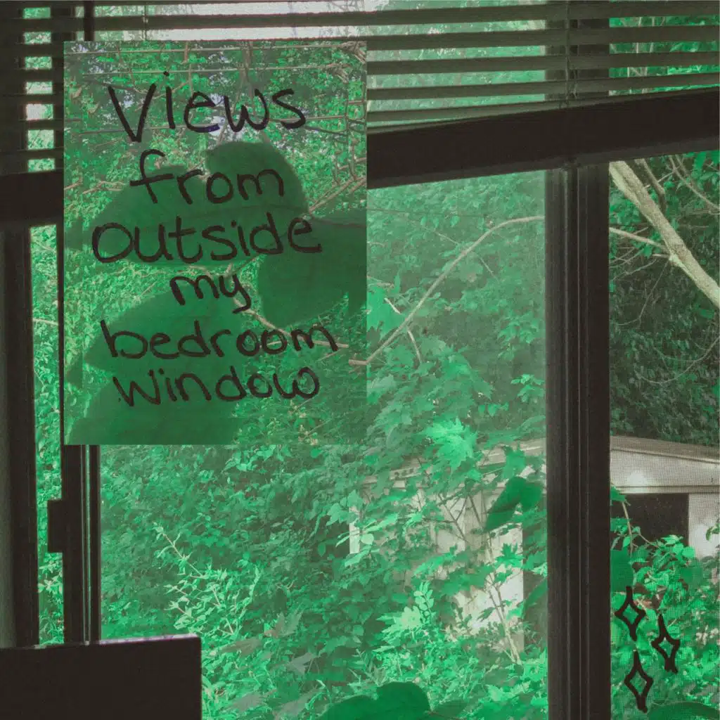 views from outside my bedroom window