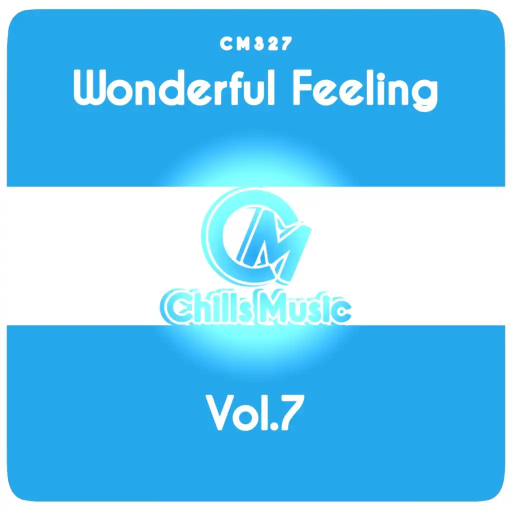 Wonderful Feeling, Vol.7