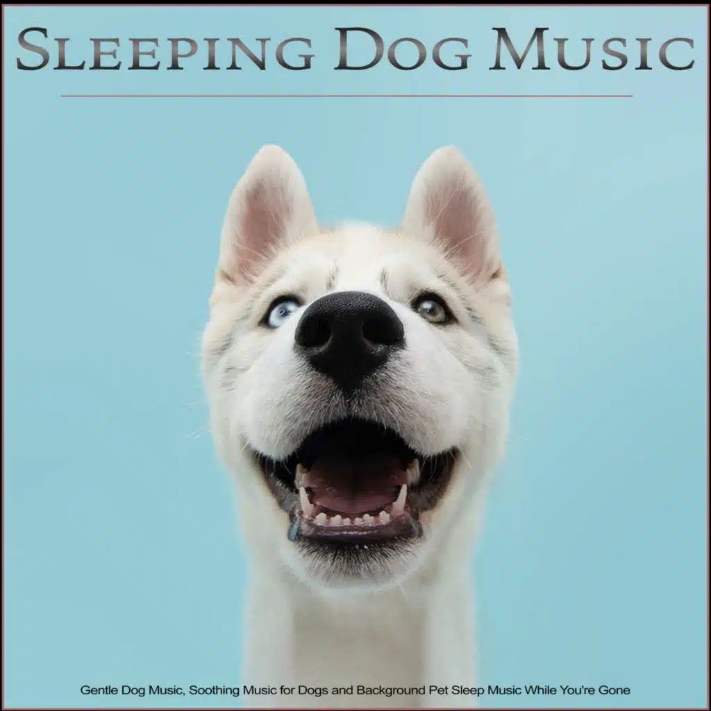 Music For Dogs, Dog Music Therapy & Dog Music