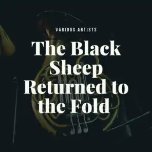 The Black Sheep Returned to the Fold