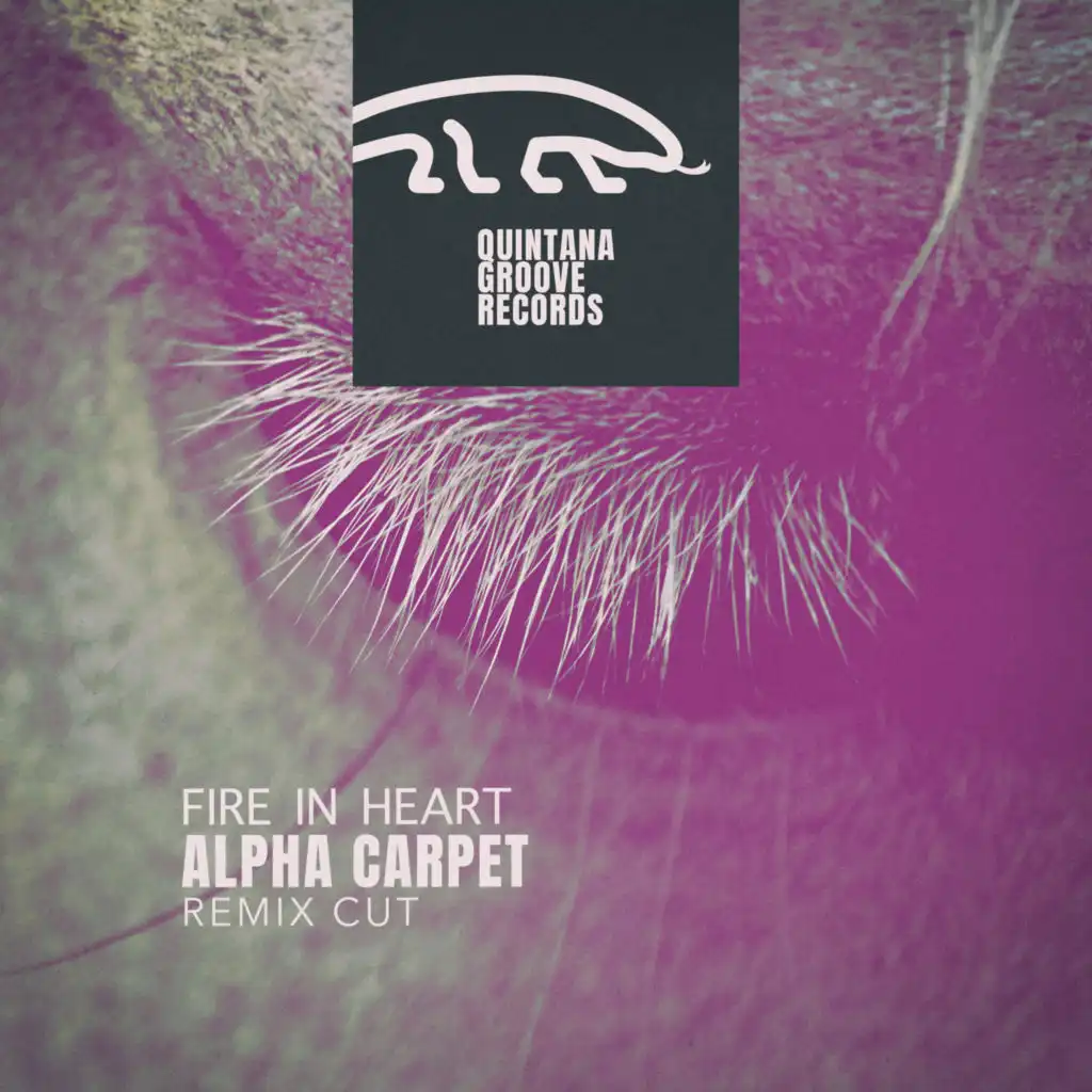 Alpha Carpet