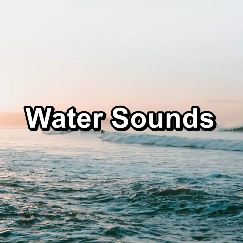 Sound of Nature & Melody of Nature