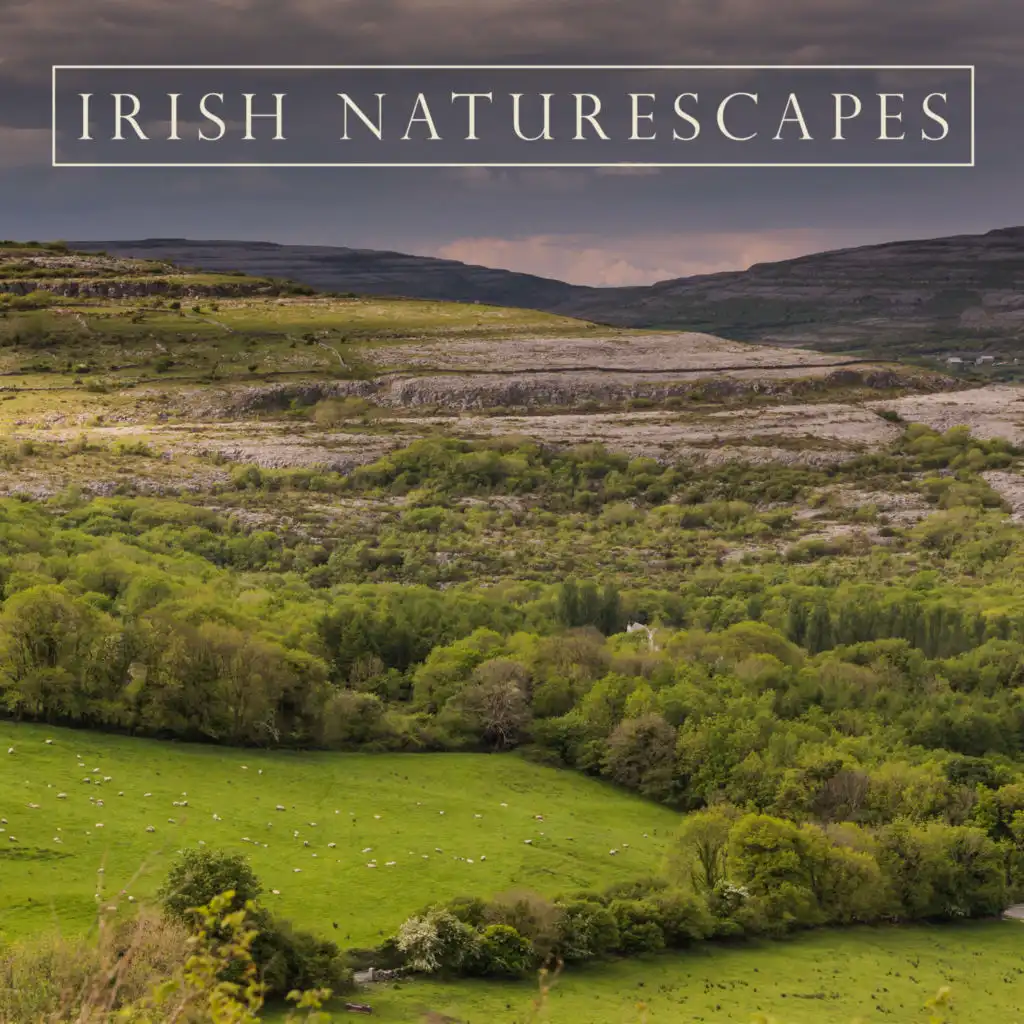 Irish Naturescapes: Celtic Calmness and Nature Sounds