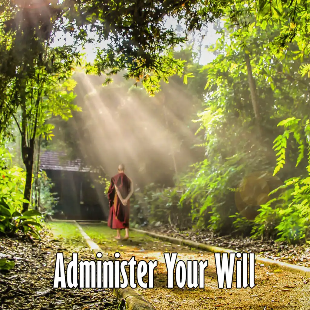 Administer Your Will