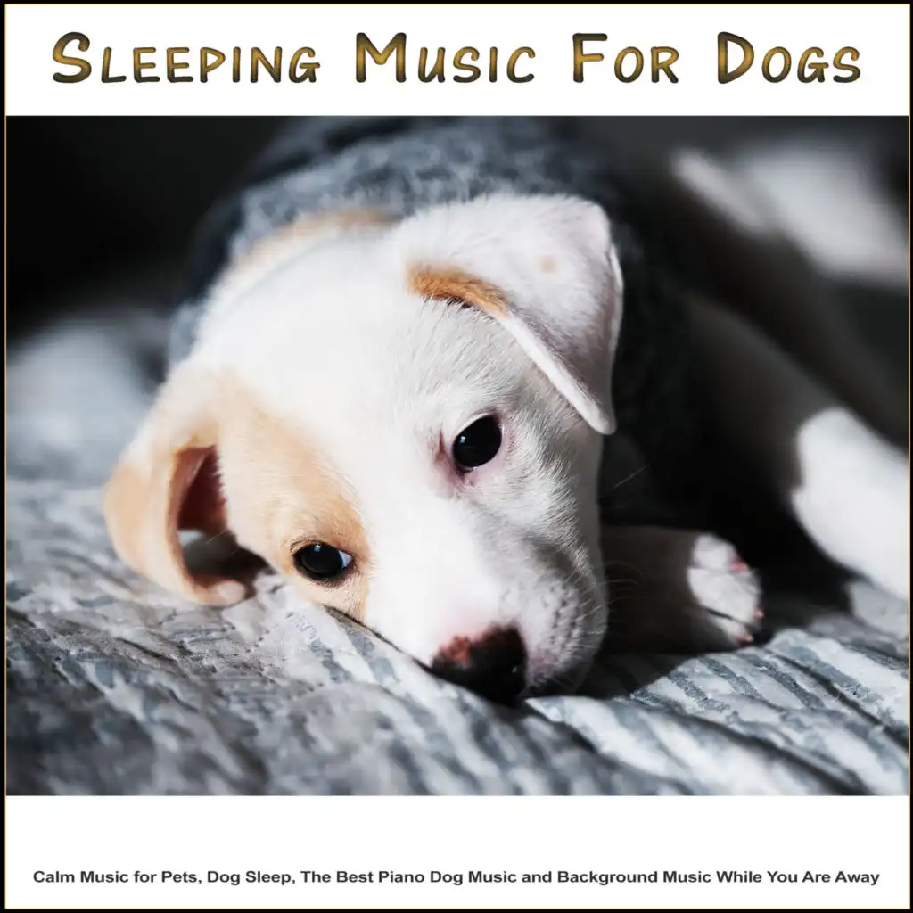 Instrumental Music For Dogs