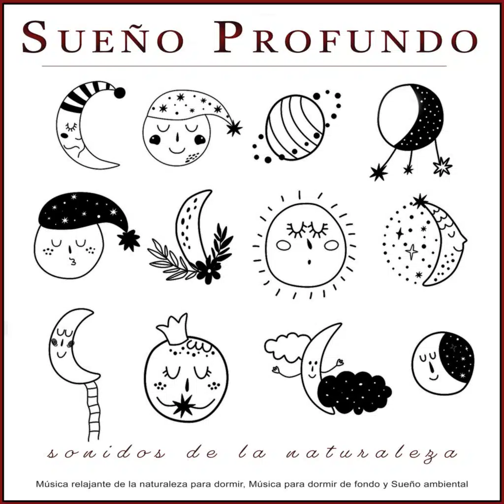 Sonidos de aves - Ayuda para dormir