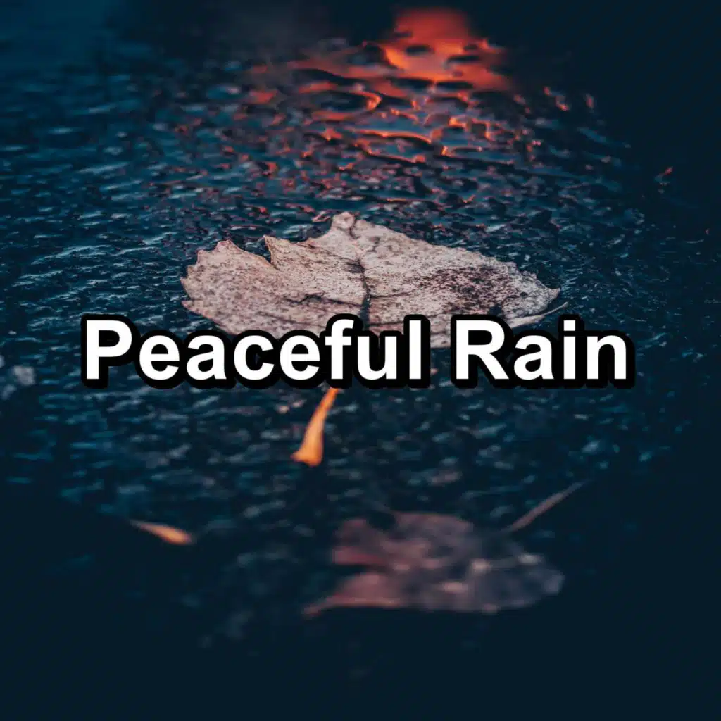 Peaceful Rain