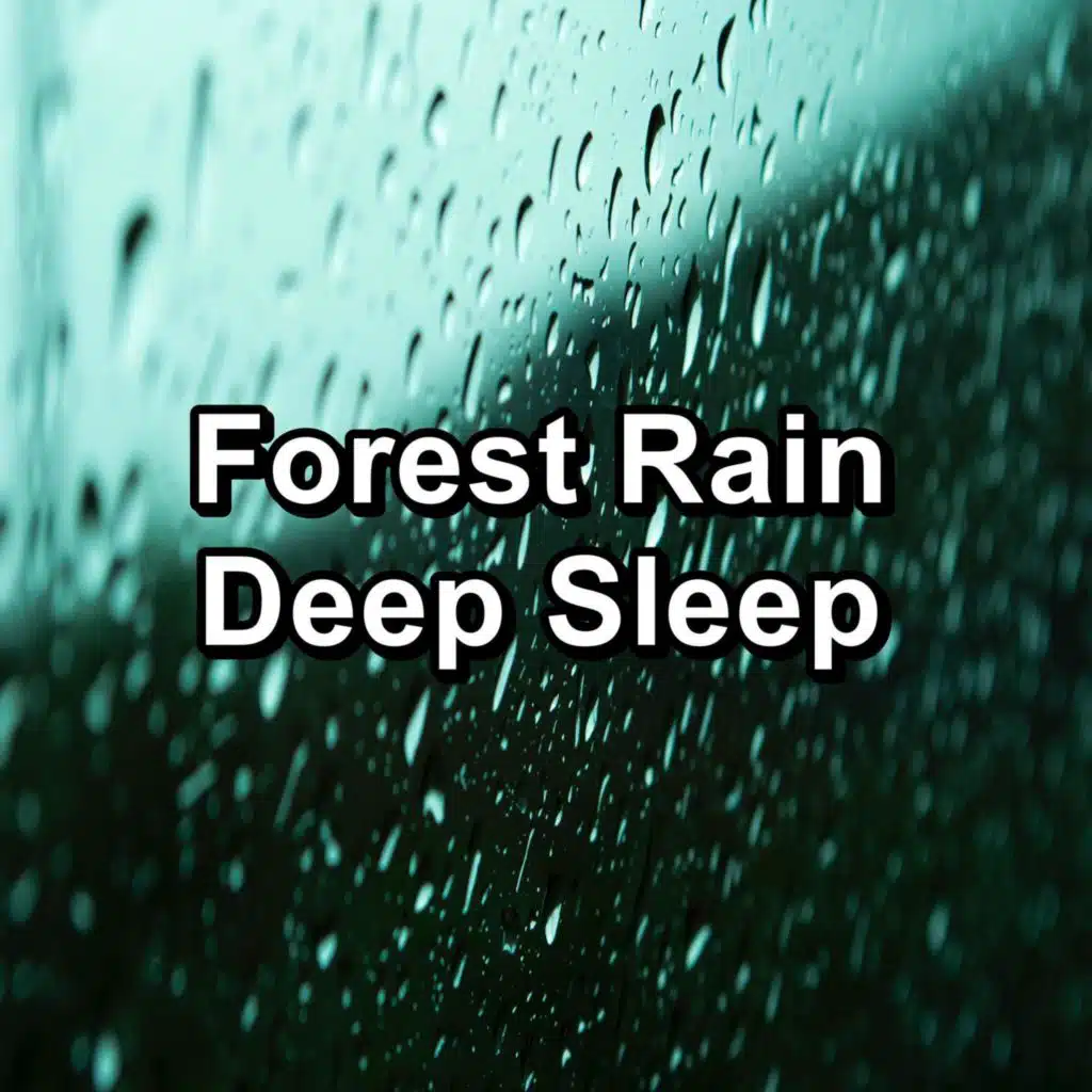 Forest Rain Deep Sleep
